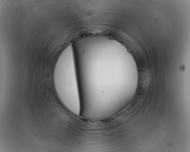 X0000091490510200708161213