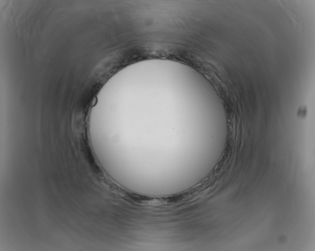 X0000091490511200708161213