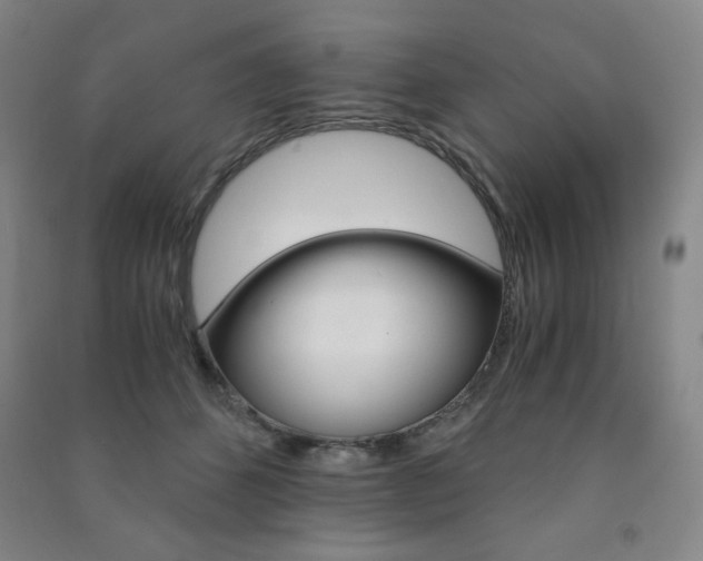 X0000091490512200708161213