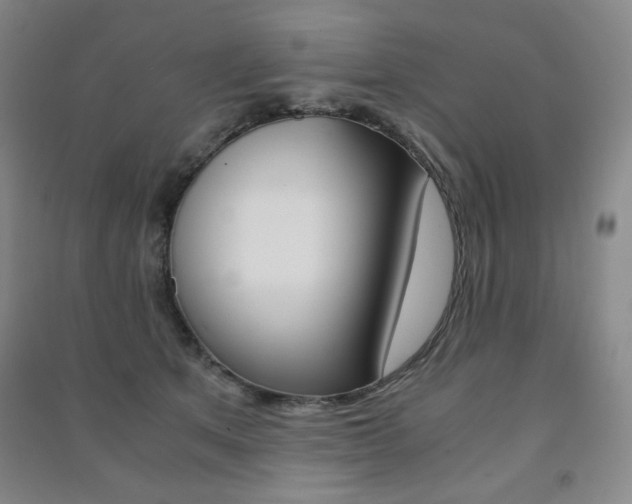 X0000091490513200708161213