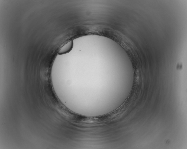 X0000091490514200708161213