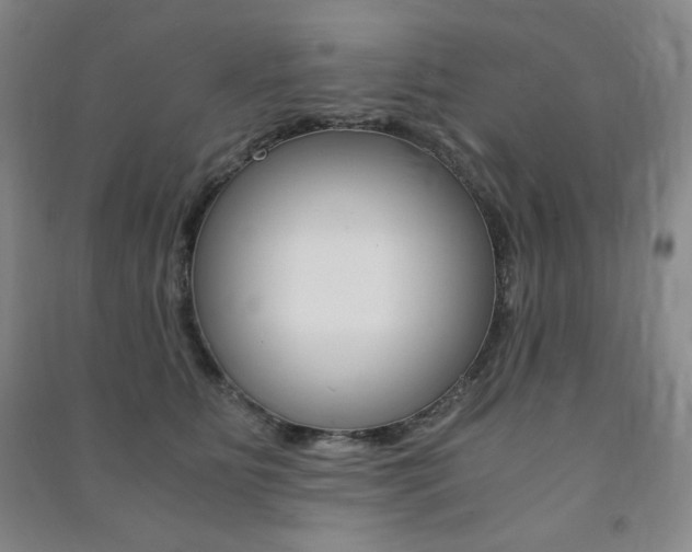 X0000091490515200708161213