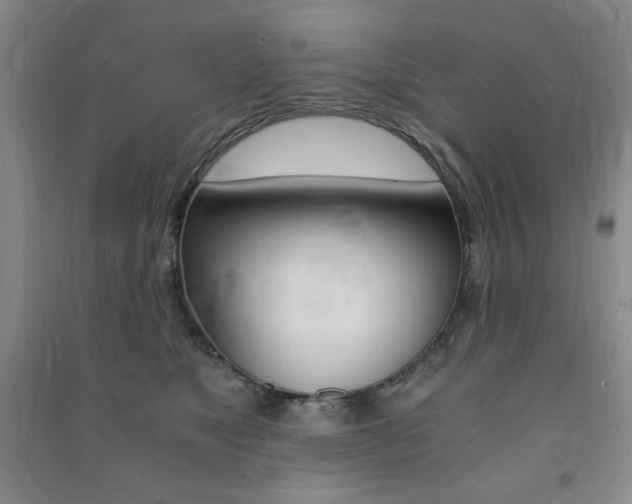 X0000091490517200708161213