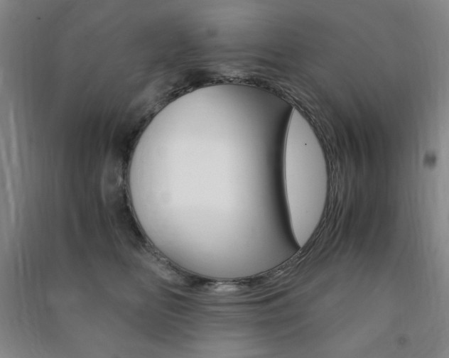 X0000091490518200708161213