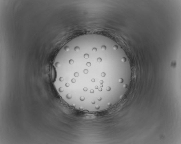 X0000091490519200708161213