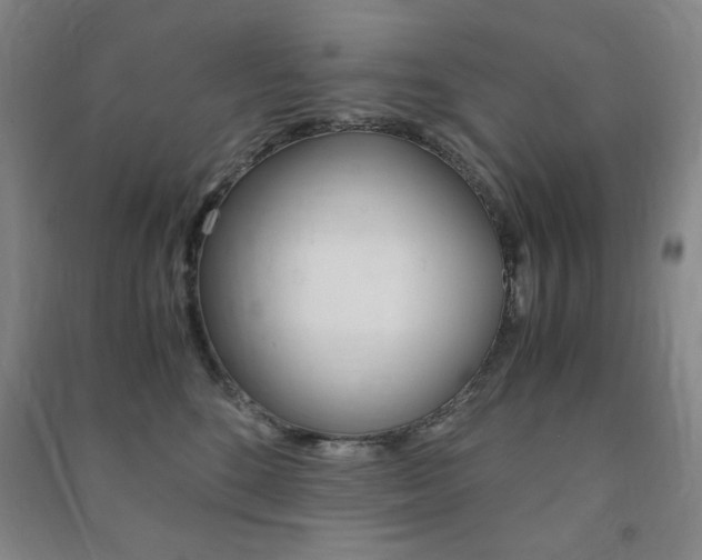 X0000091490520200708161213