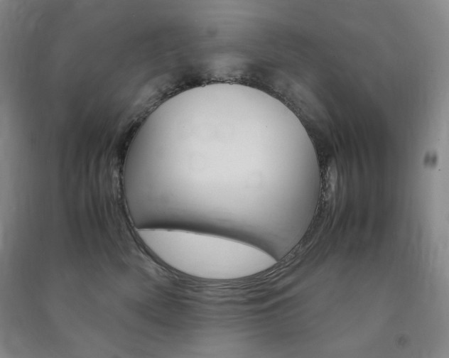 X0000091490522200708161213