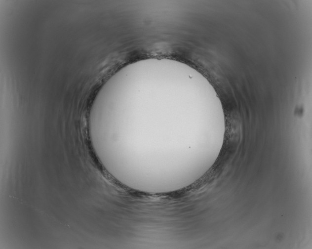 X0000091490523200708161213