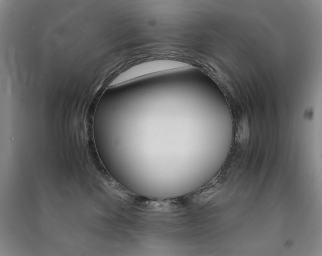 X0000091490524200708161213