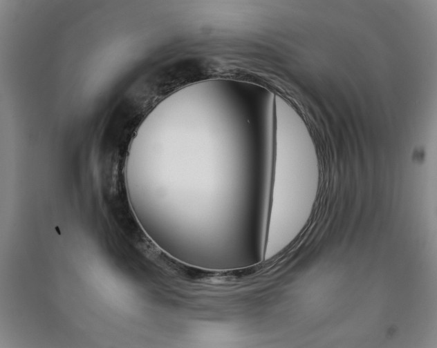X0000091490525200708161213