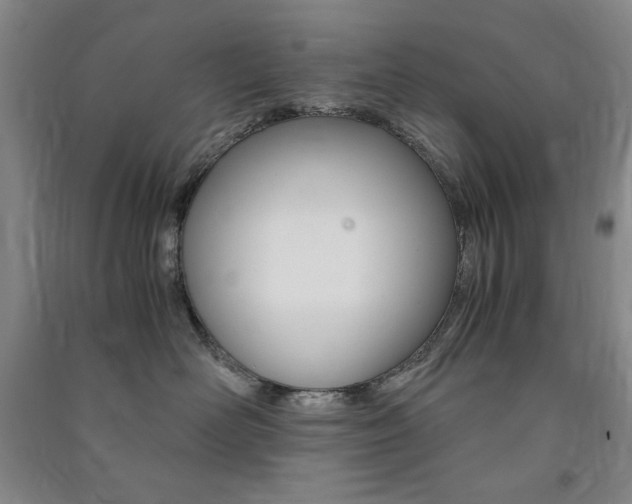 X0000091490526200708161213