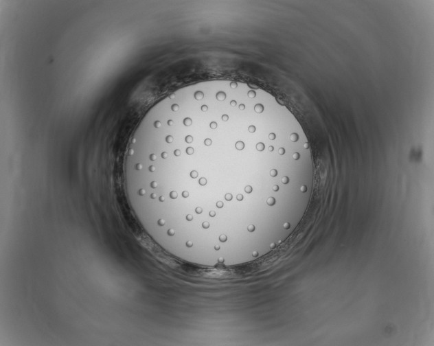 X0000091490527200708161213
