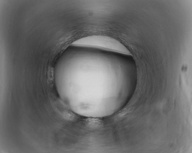 X0000091490528200708161213