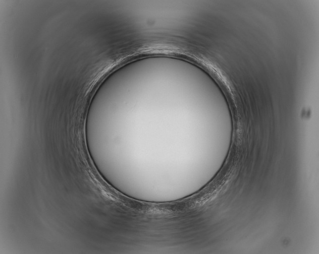 X0000091490529200708161212