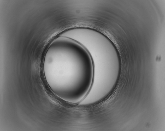 X0000091490530200708161212