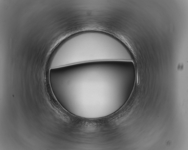 X0000091490531200708161212