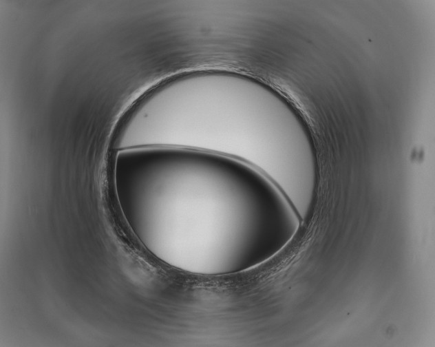X0000091490532200708161212