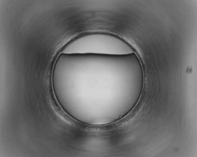 X0000091490533200708161212