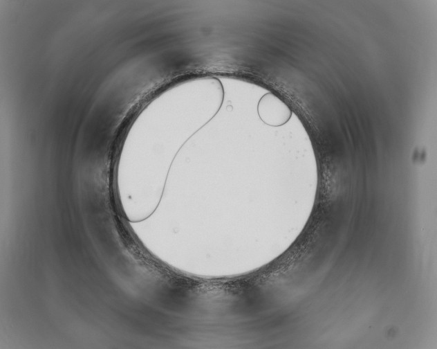 X0000091490534200708161212
