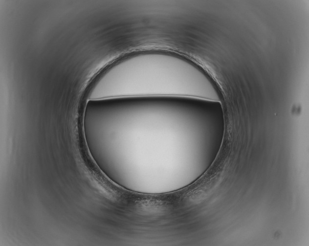 X0000091490535200708161212