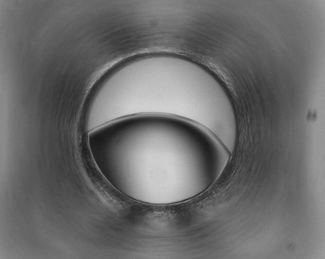 X0000091490536200708161212