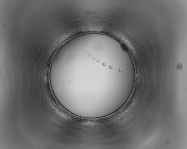 X0000091490537200708161212