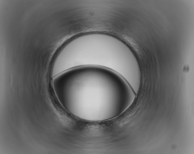 X0000091490540200708161212