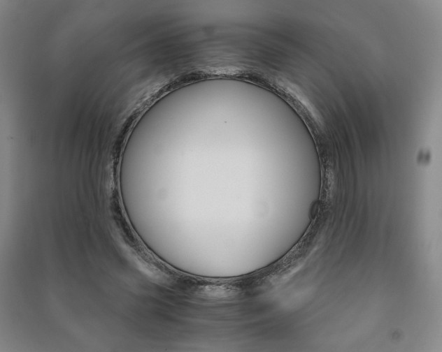 X0000091490541200708161212