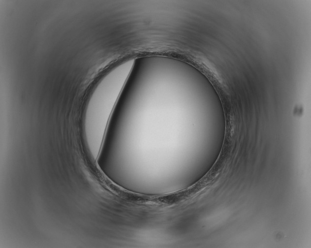 X0000091490542200708161212