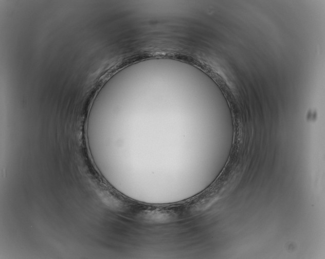 X0000091490545200708161212