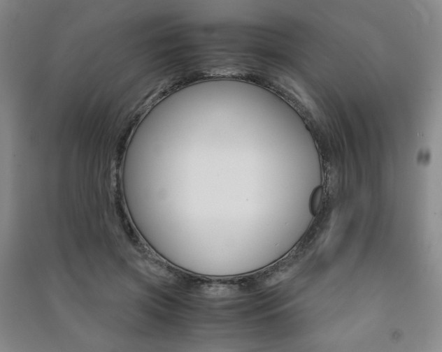 X0000091490549200708161212