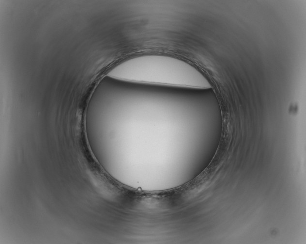 X0000091490550200708161212