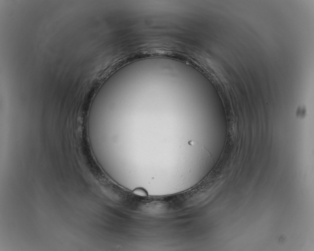 X0000091490551200708161212