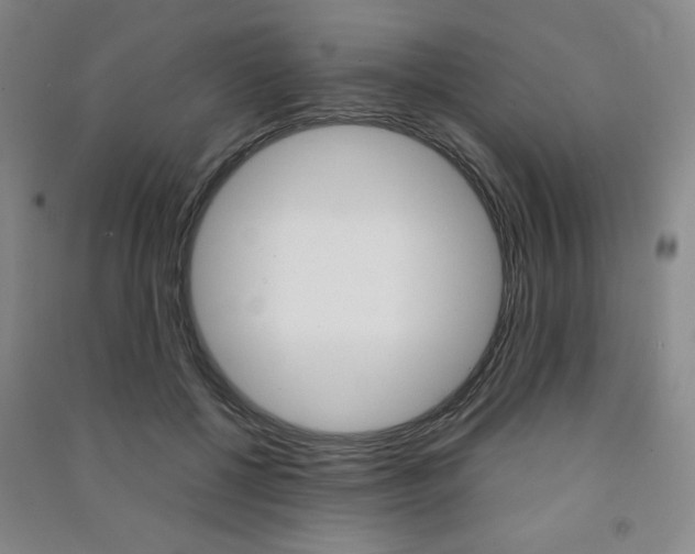 X0000091490552200708161212