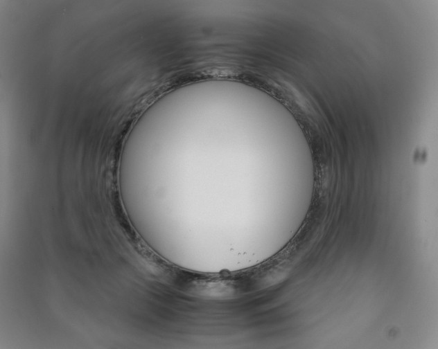 X0000091490553200708161212