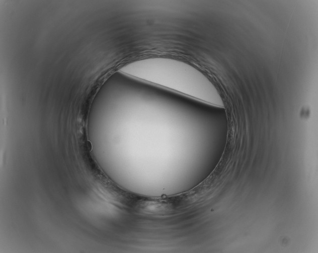 X0000091490555200708161212
