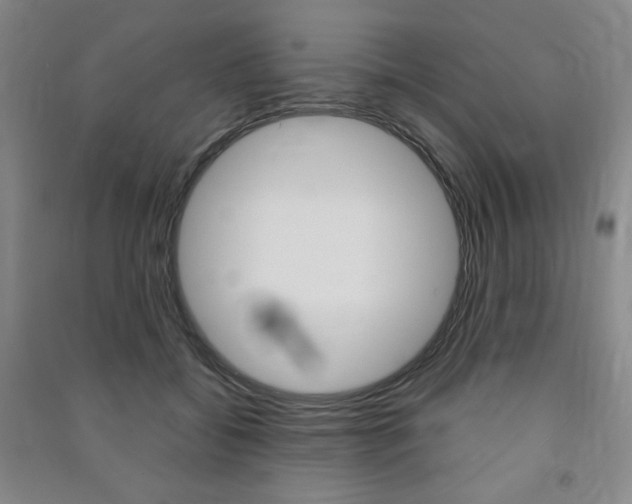 X0000091490556200708161212