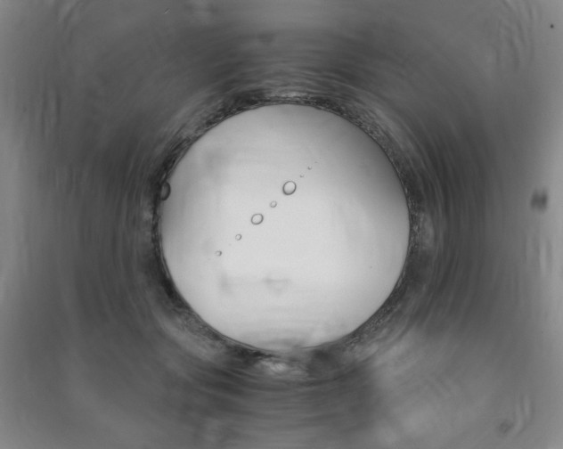 X0000091490557200708161212