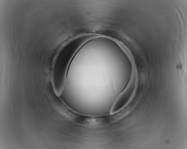 X0000091490558200708161212