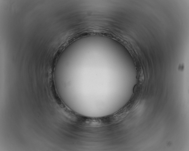 X0000091490559200708161212