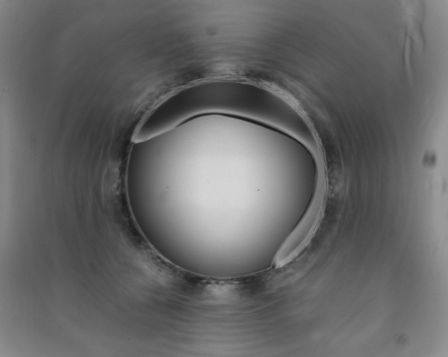 X0000091490560200708161212