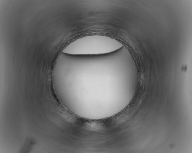 X0000091490561200708161212