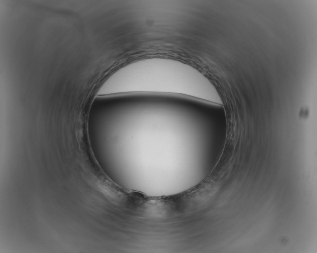 X0000091490562200708161212