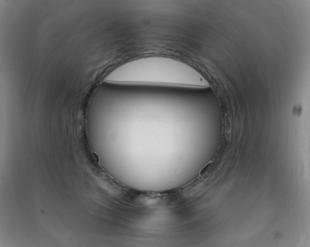 X0000091490563200708161212