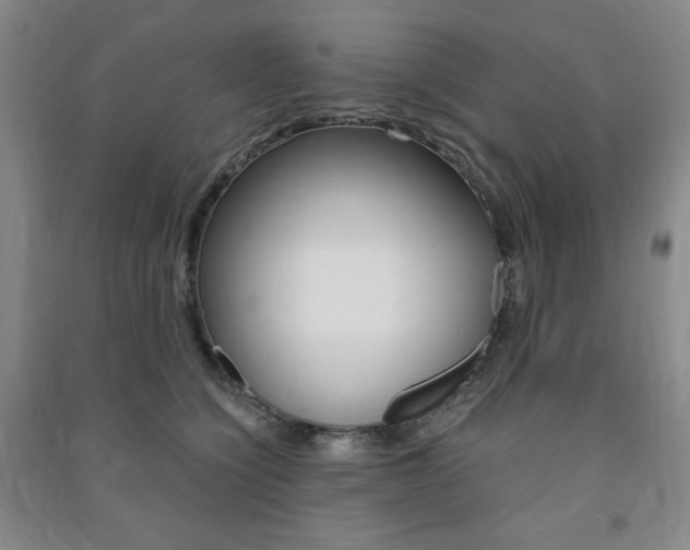 X0000091490564200708161212