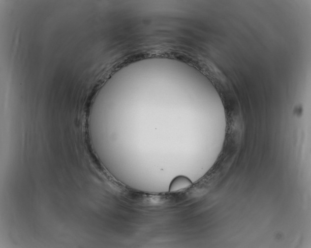 X0000091490565200708161212