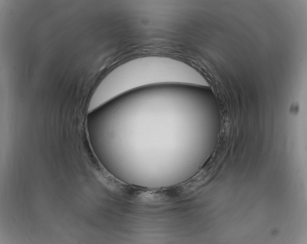 X0000091490568200708161212
