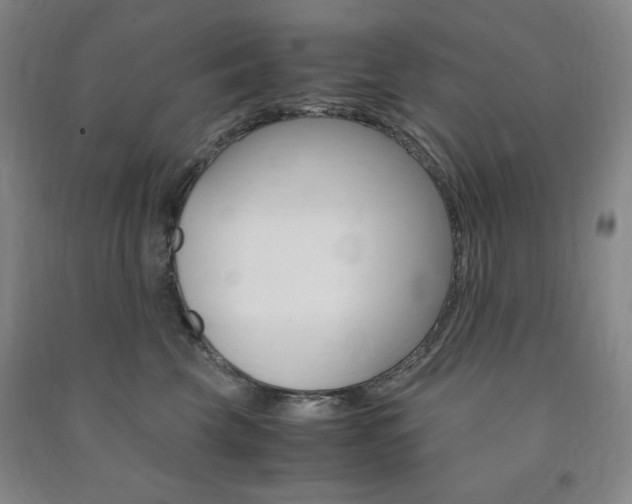 X0000091490569200708161213