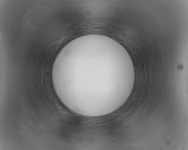 X0000091490570200708161213