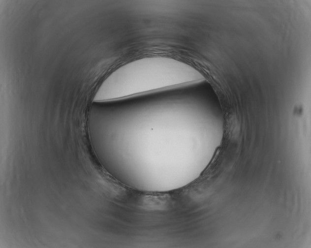 X0000091490571200708161213